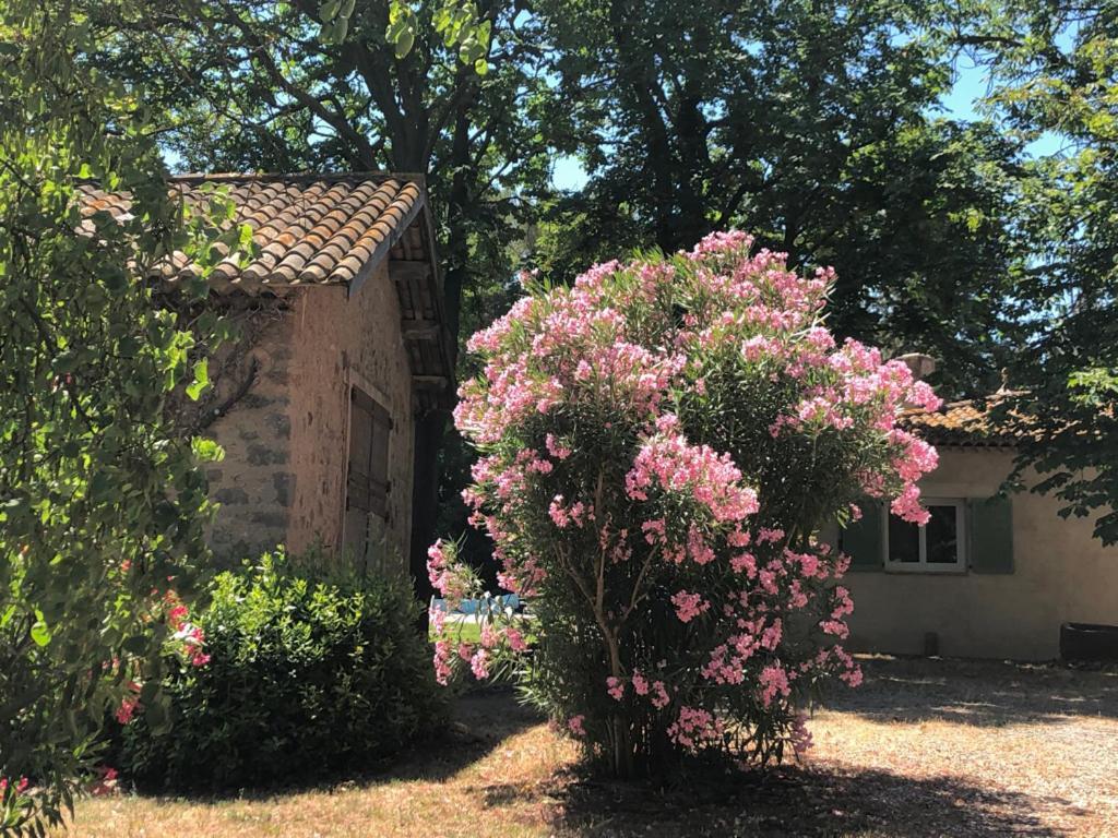 Bed and Breakfast Le Nid Des Corbieres Bizanet Екстер'єр фото